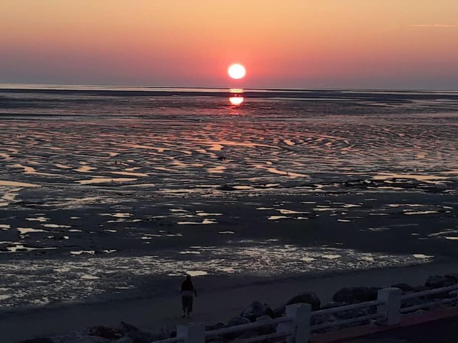 Vue Baie Xxl 180° Lägenhet Le Crotoy Exteriör bild